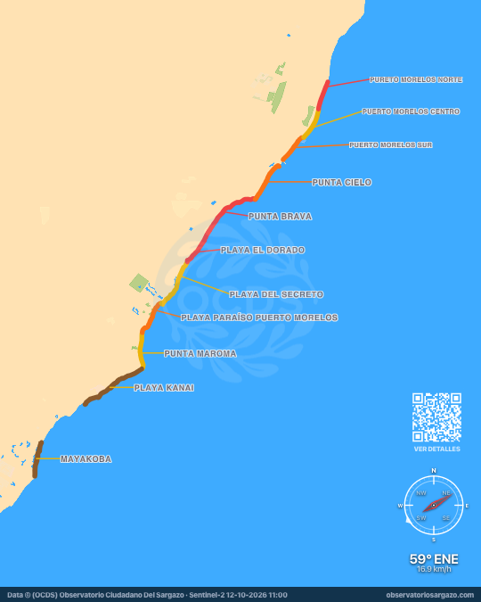 Carte des sargasses à Puerto Morelos, Quintana Roo — 12 octobre 2026