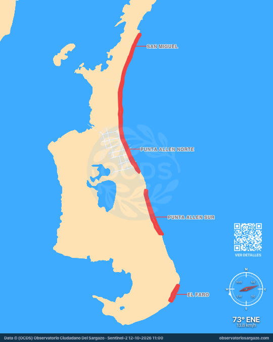 Carte des sargasses à Punta Allen, Quintana Roo — 12 octobre 2026