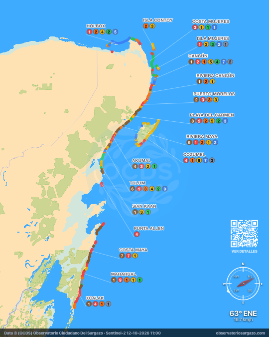 Carte des sargasses des Caraïbes mexicaines, Quintana Roo — 12 octobre 2026
