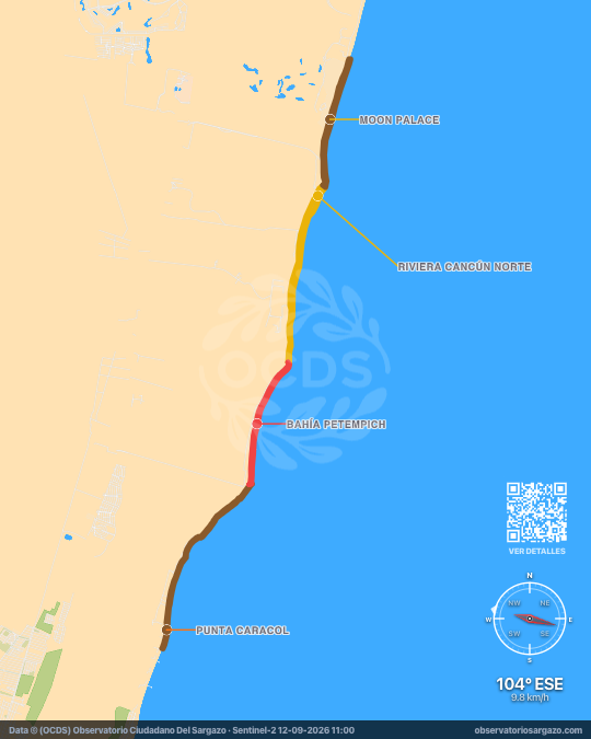 Mapa del sargazo en Riviera Cancún, Quintana Roo — 12 de septiembre de 2026