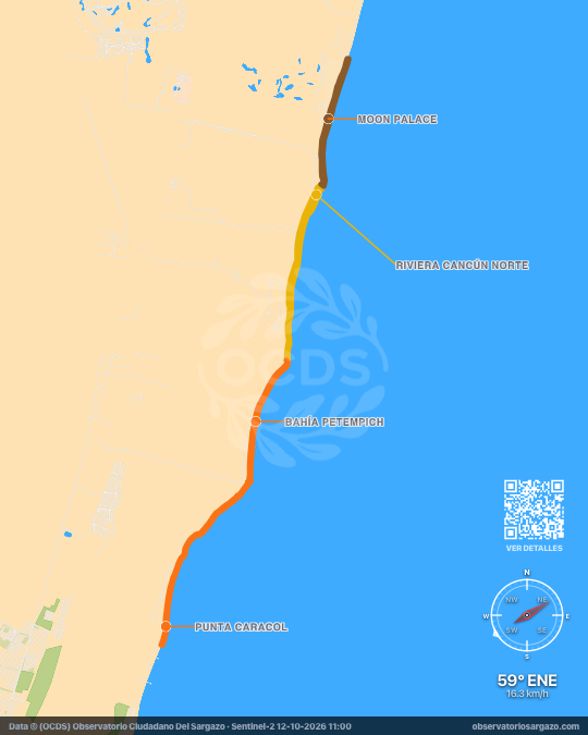 Carte des sargasses à Riviera Cancún, Quintana Roo — 12 octobre 2026