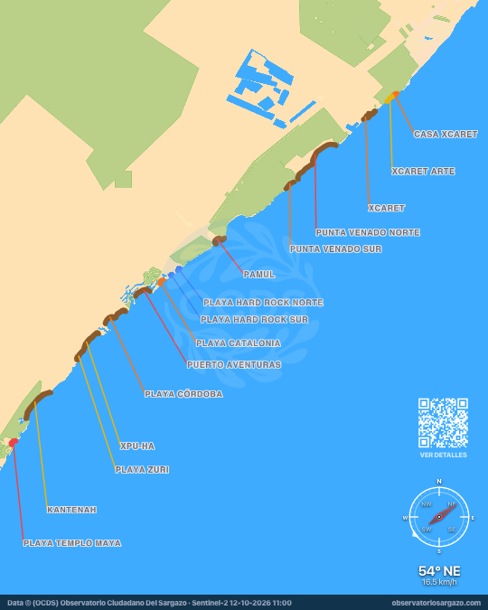 Carte des sargasses à Riviera Maya, Quintana Roo — 12 octobre 2026