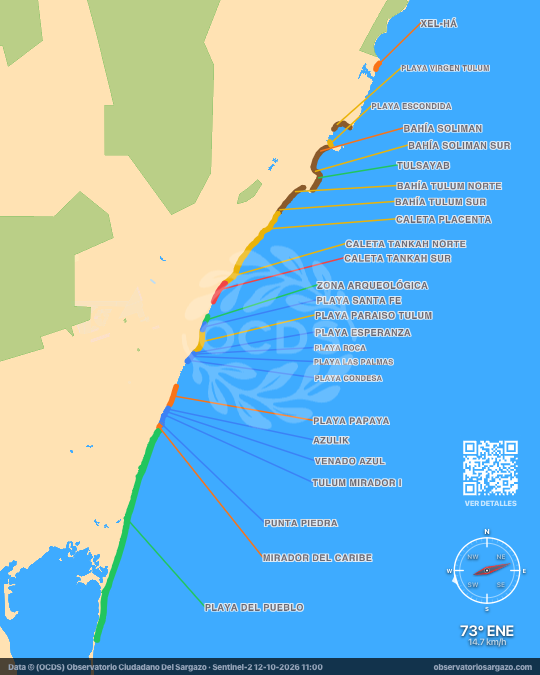 Carte des sargasses à Tulum, Quintana Roo — 12 octobre 2026