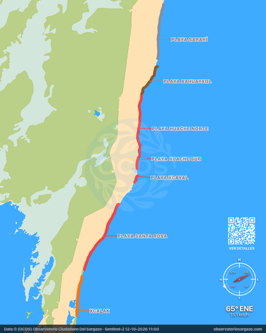 Carte des sargasses à Xcalak, Quintana Roo — 12 octobre 2026